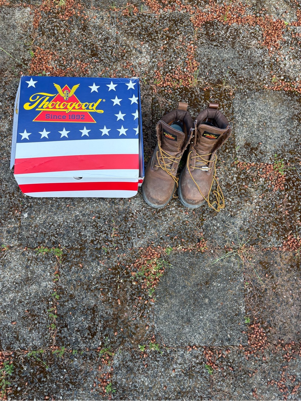 Thorogood Brown Work Boots with Original Box